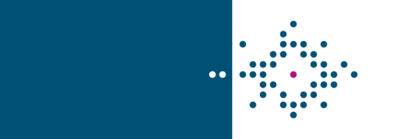 SPL Medical B.V. hat in wichtigen EU-Ländern die Marktzulassung für Ferumoxtran beantragt.